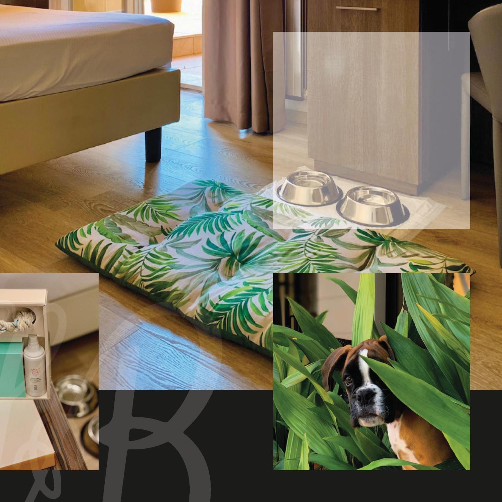 Hotel Brescia Darfo Boario Terme Luaran gambar